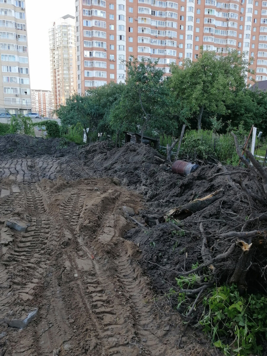 Сантиметров 40 земли сняли