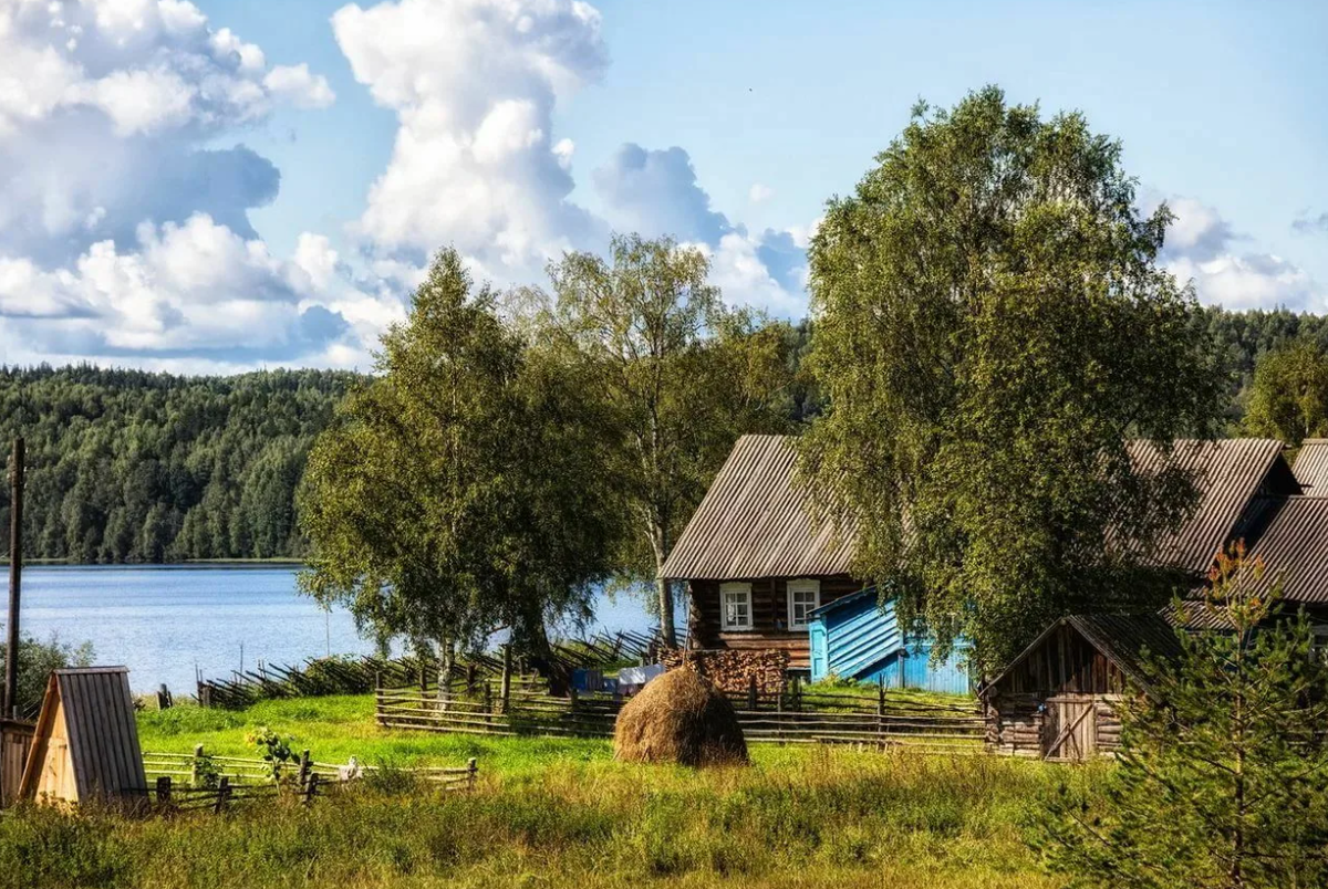 Фото деревни летом