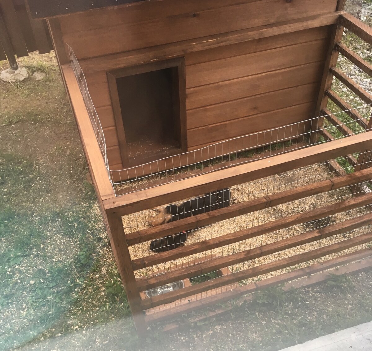 Вольер был нужен скорее для ее же безопасности, потому как на участке на тот момент "черт ногу сломит" 