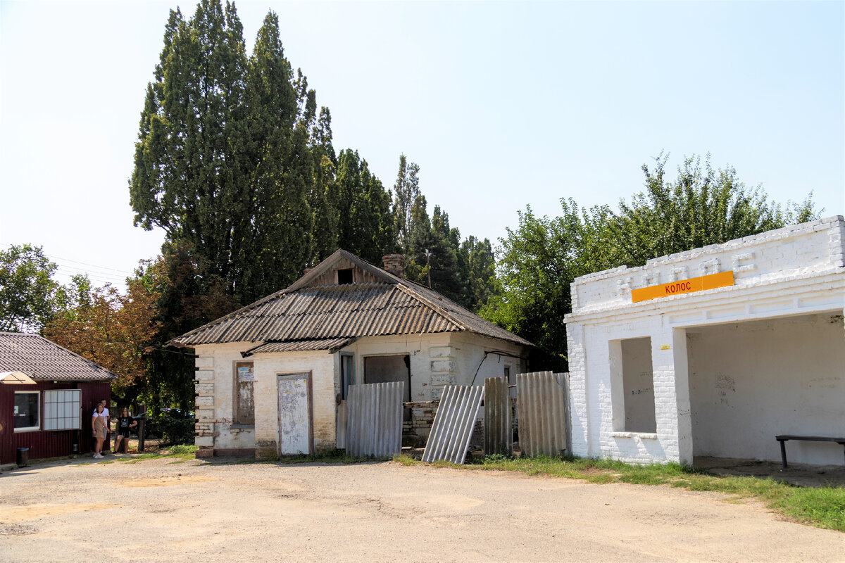 В посёлке Колос, между заповедником и Кубанью, живёт много молодёжи | Южная  жизнь | Дзен