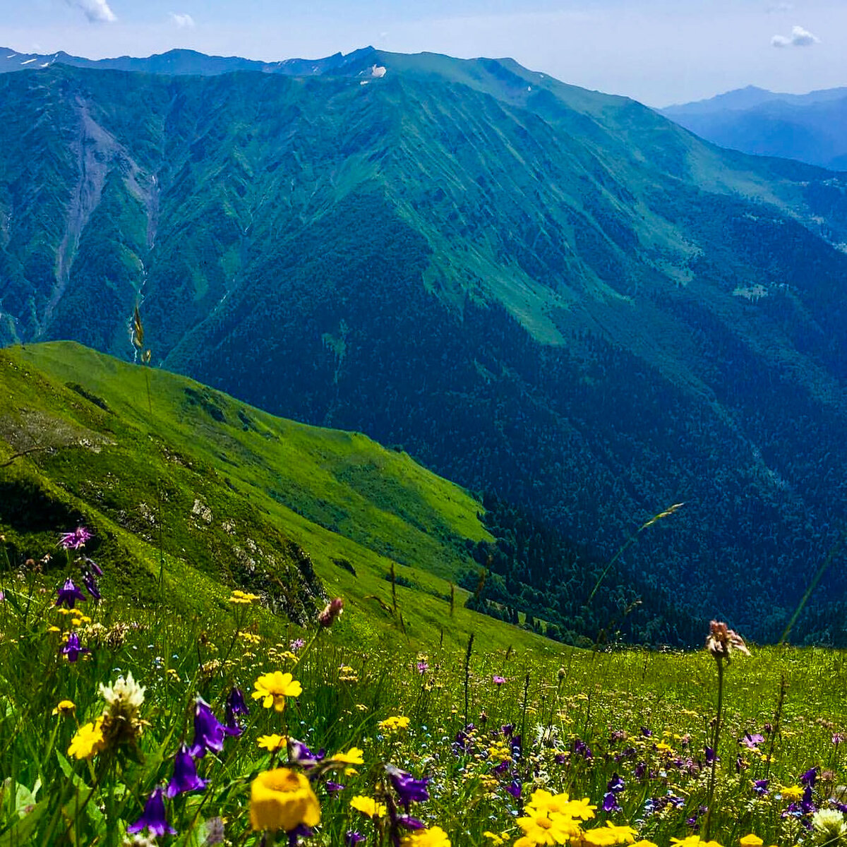 Вид на горы сочи фото