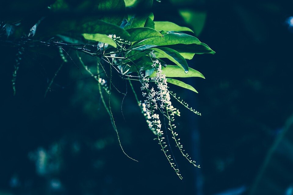 фото взято из открытых источников