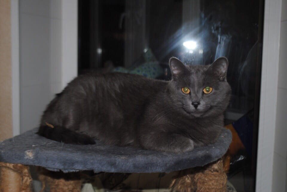 Веня до болезни