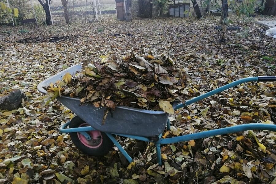 Зрелки раком на даче (74 фото) - порно и эротика поселокдемидов.рф