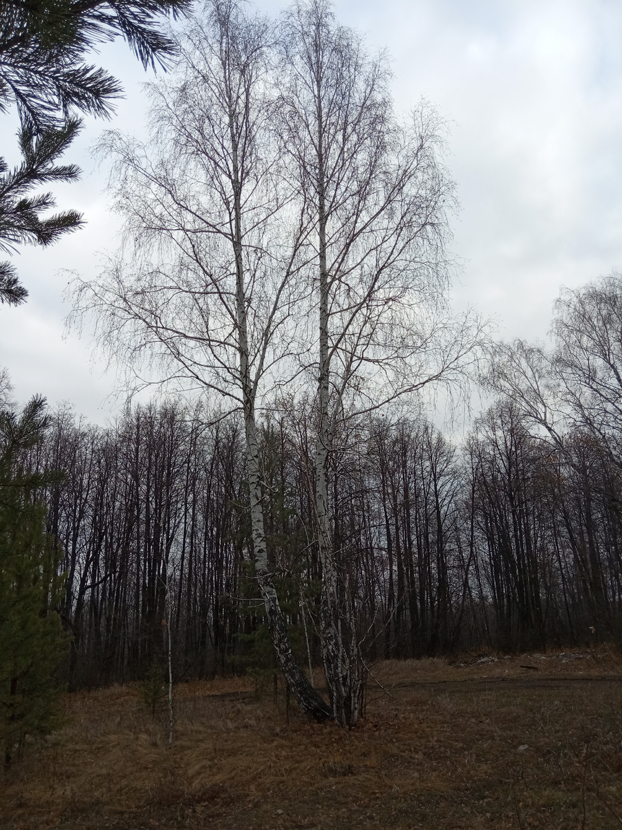 Фотография из личного архива автора