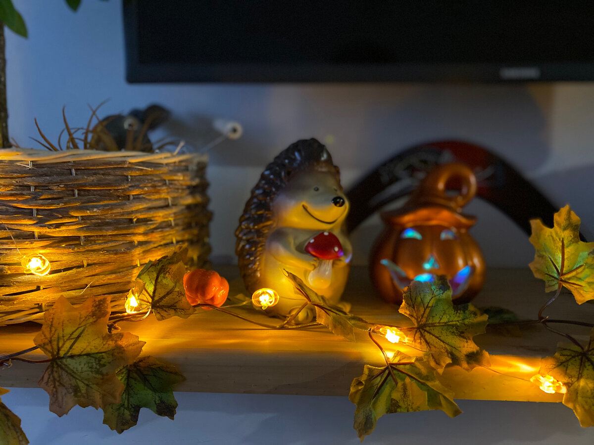 Фото автора. Ноябрь всегда самый сложный месяц для меня в году. Усталость уже накапливается, энергию черпать неоткуда… 