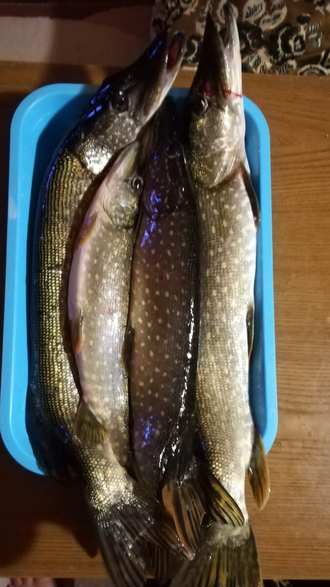 Фото автора. 