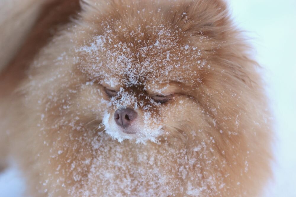 Малышка, так ее зовут