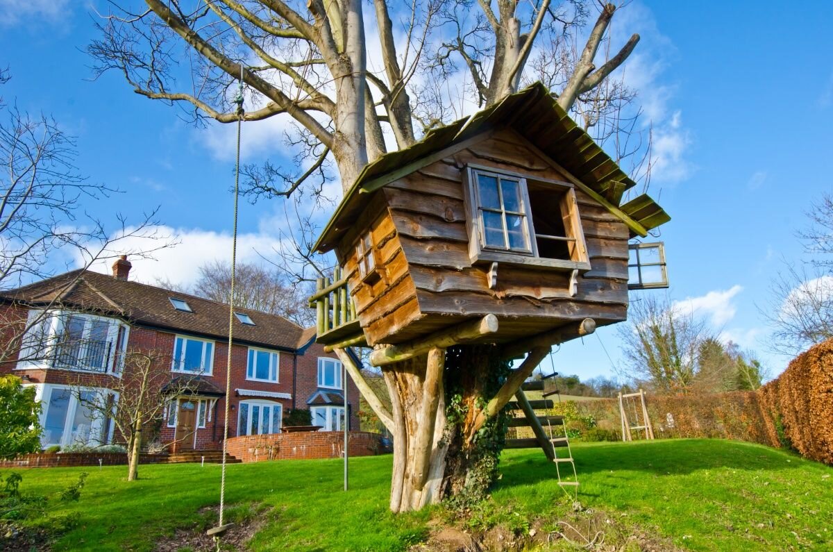 Законно ли построить домик на дереве? | Клерк.Ру | Дзен