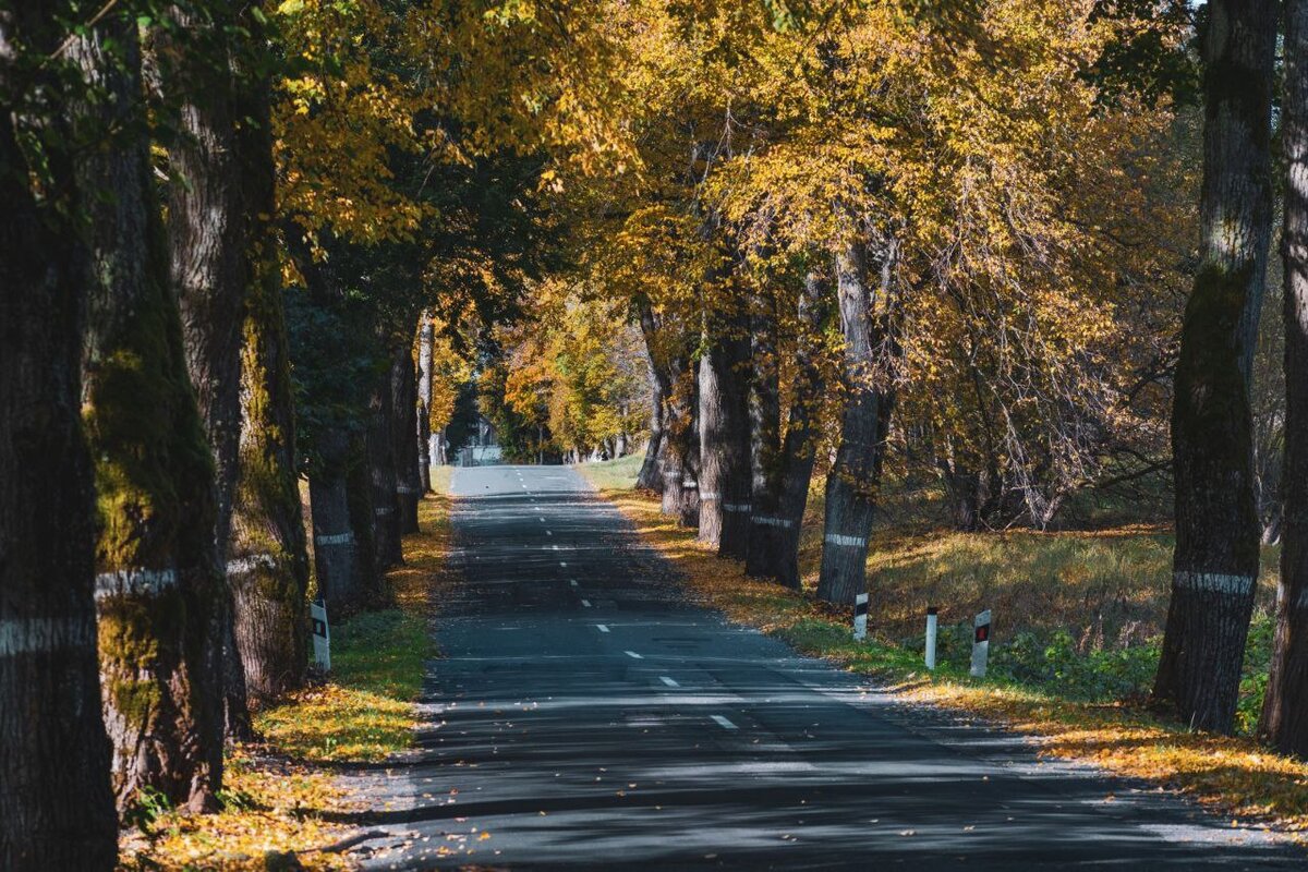 Фото дорог в калининграде