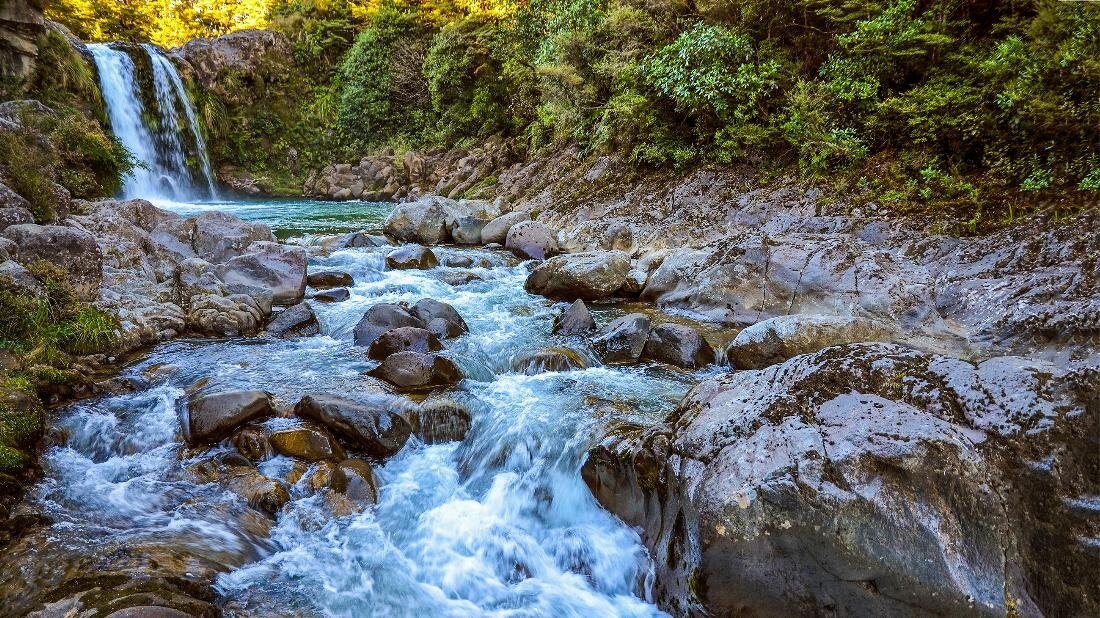 Люди Водолеи, рожденные в год Крысы активны и беспокойны как горный ручей