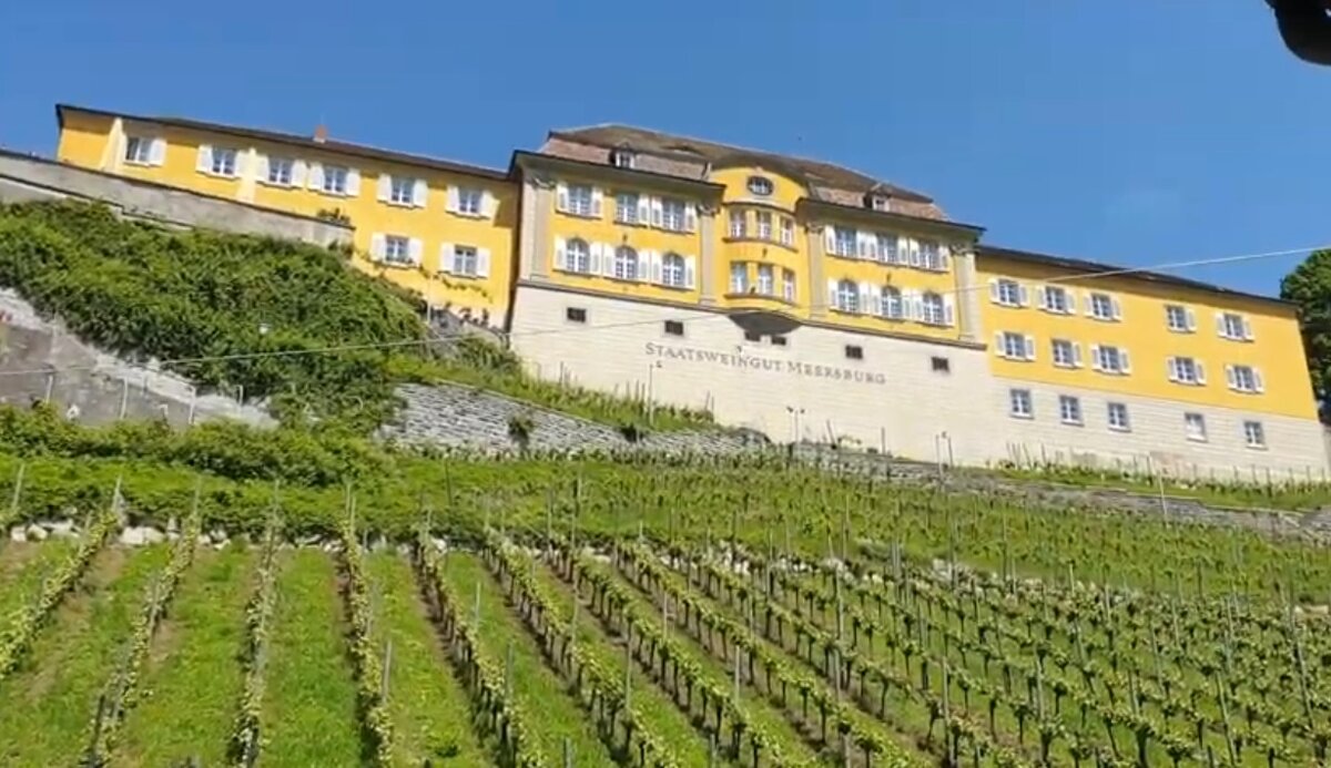 Винодельческое предприятие