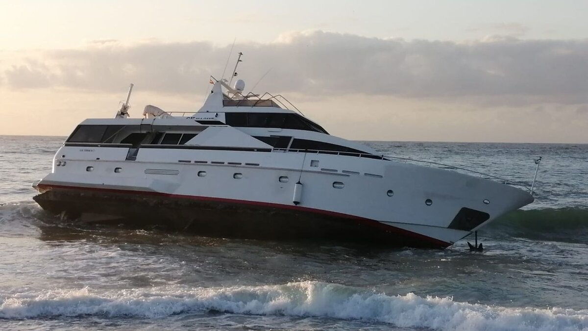 Neeveen на пляже. Фото: @mitmagob/Twitter