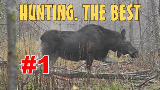 #1. Hunting. THE BEST