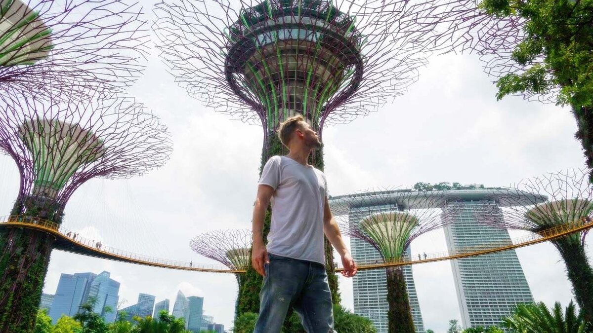 

Так вечный смысл стремится в вечной смене