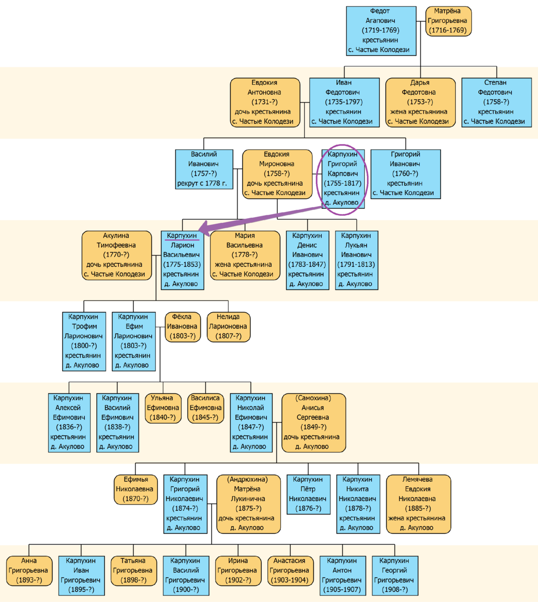 Фрагмент родословной Карпухиных.