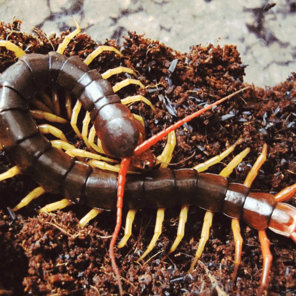 фото из яндекс картинки