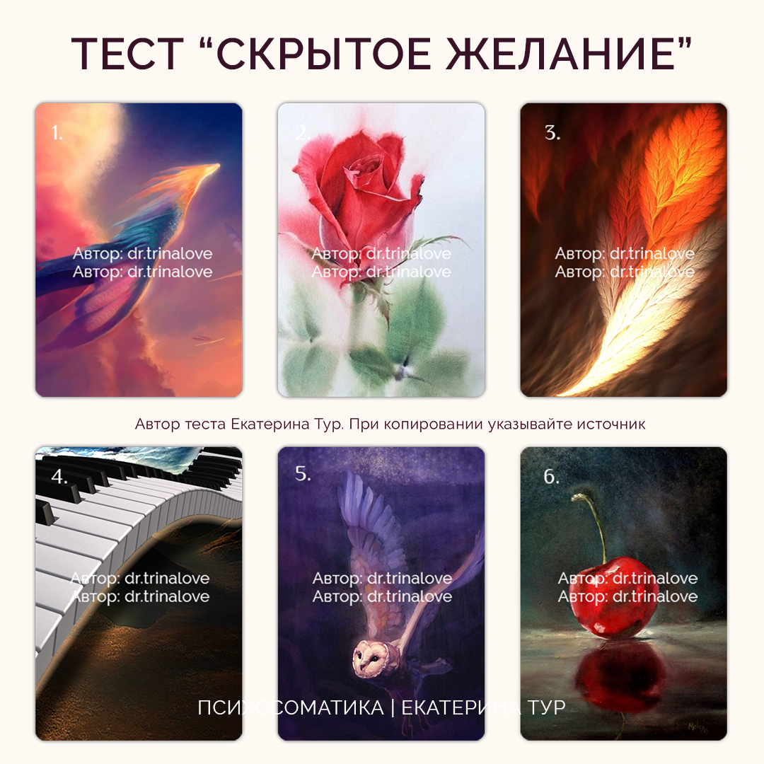 делаю вид что слушаю. джинджер скотт книги. скрытые желания. волшебство в ладонях. космос внутри.