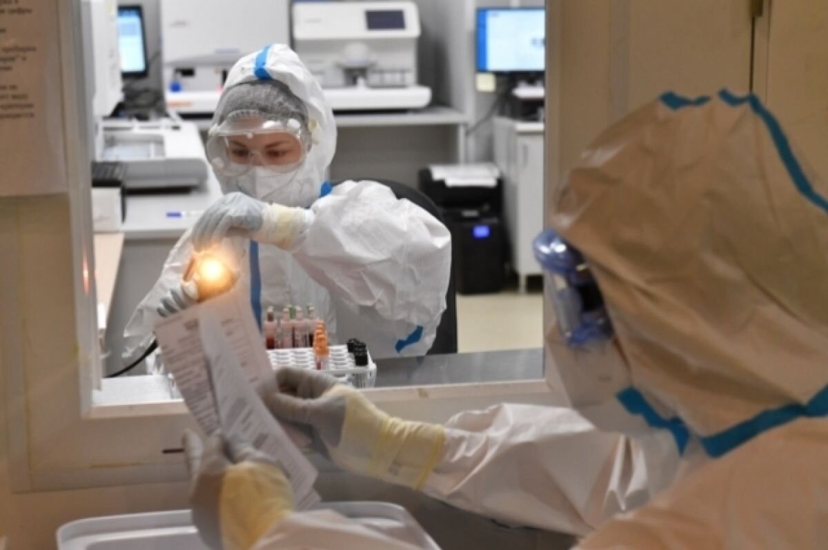    В ВОЗ заявили о высокой опасности появления оспы обезьян в России