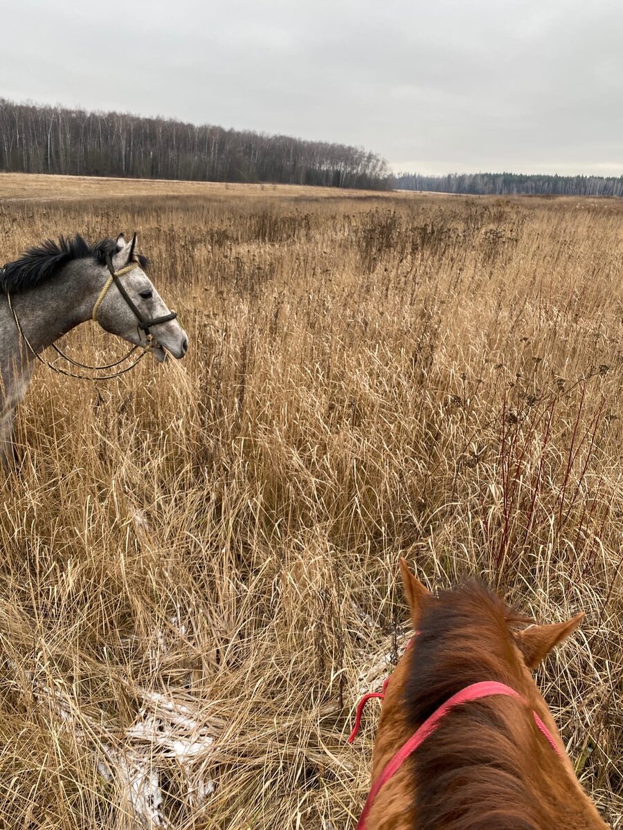 фоторепортаж с места событий