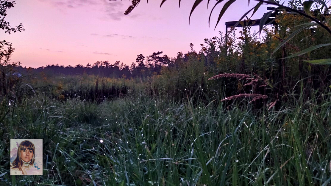 Один из рабочих закатов:)