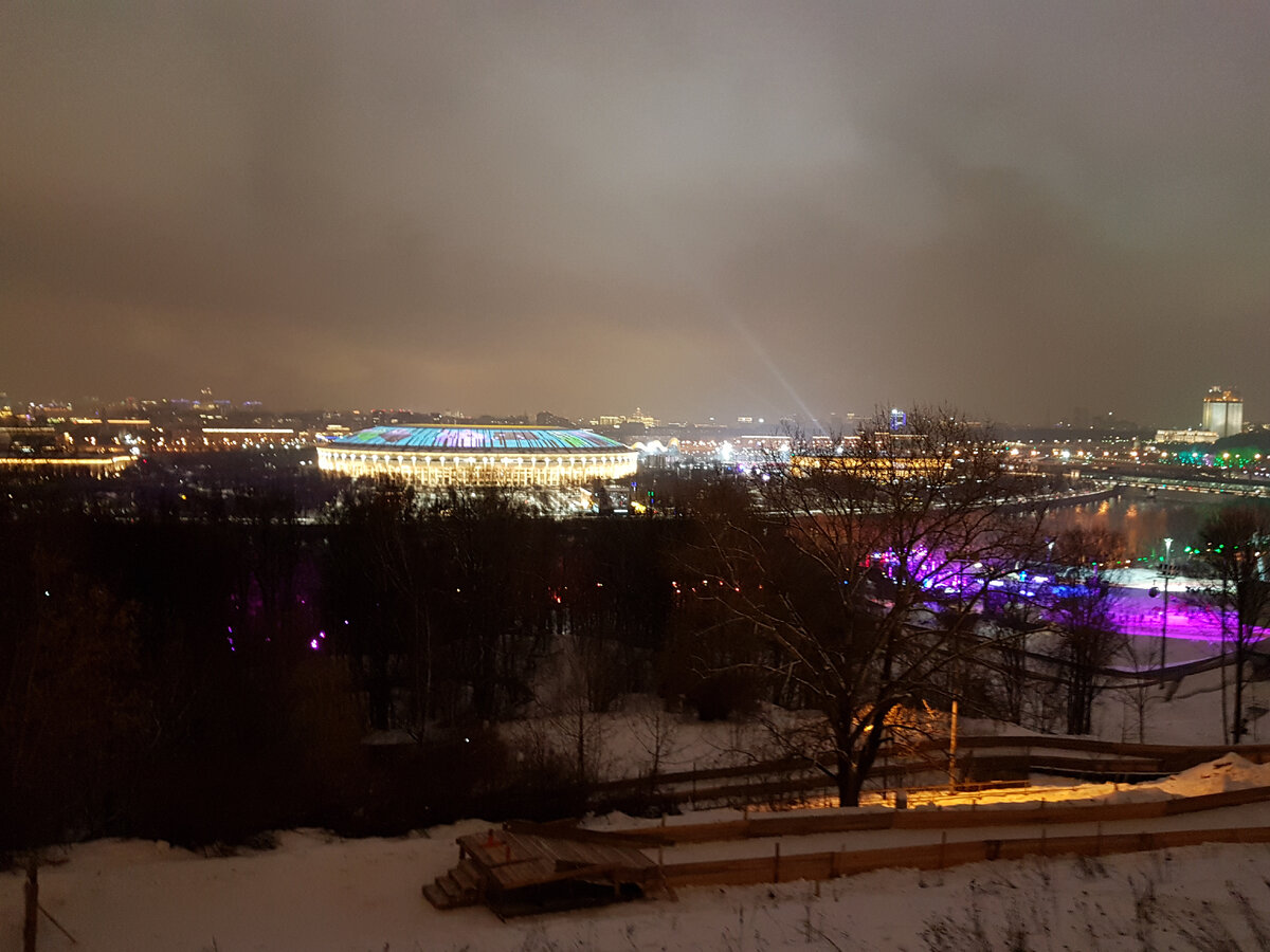 воробьевы горы смотровая площадка зимой