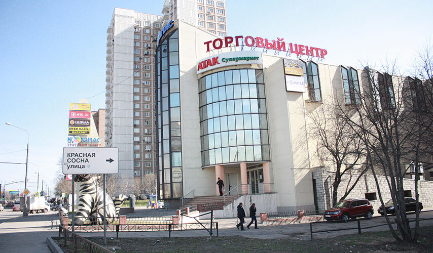 Фото  с Яндекс картинок.