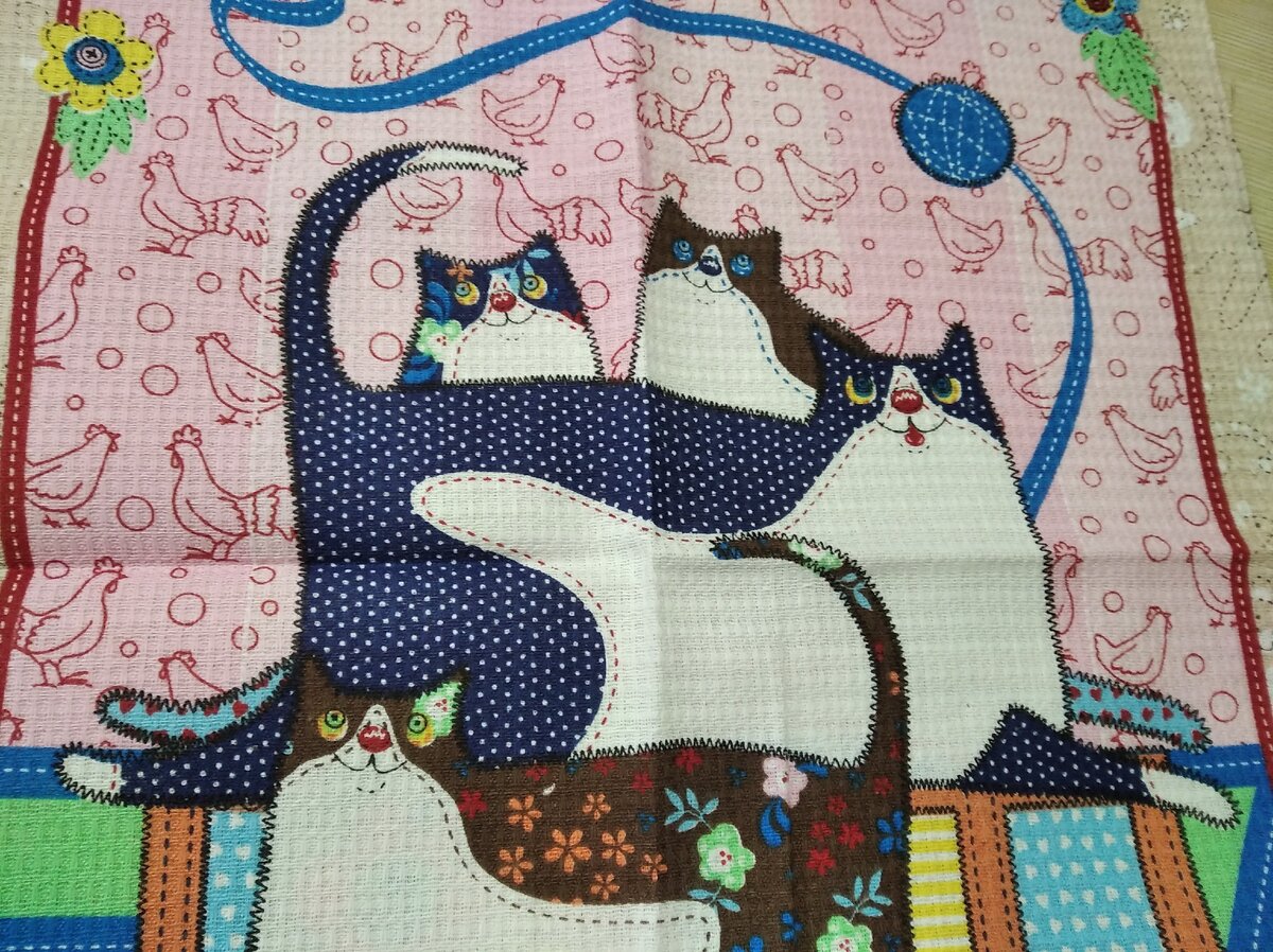 это котики)