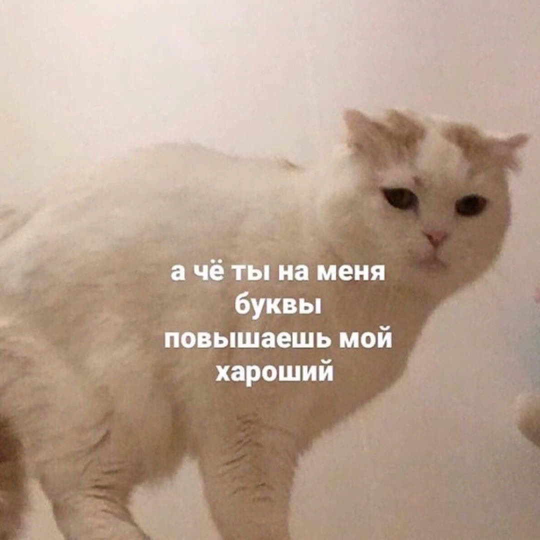 для любимых)