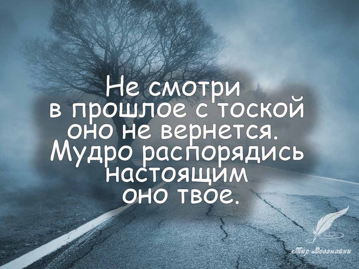 Цитаты о жизни. Умные высказывания. Мудрые цитаты. Умные фразы. Мудрые фразы.