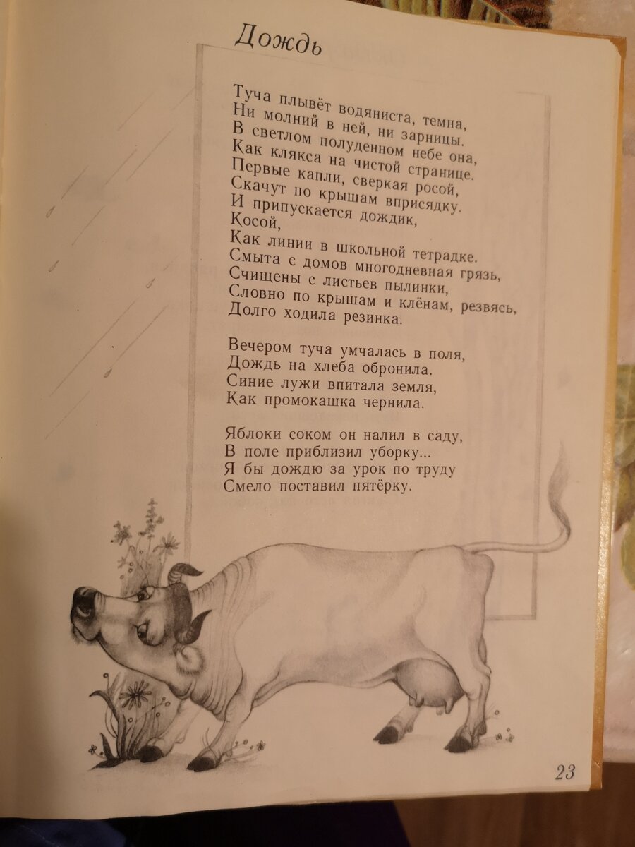 Дождь. Из цикла детских стихов. | Дневник Алюк | Дзен