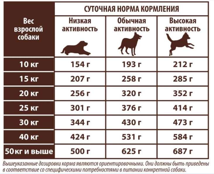 Норм собак. Норма кормления щенка немецкой овчарки. Таблица кормления щенков сухим кормом. Нормы кормления щенков сухим кормом. Норма сухого корма для щенка лабрадора 3 месяца