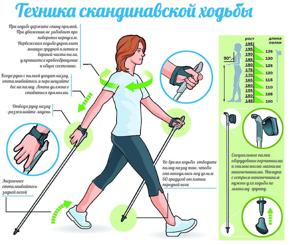 Техника скандинавской ходьбы. Яндекс.Картинки