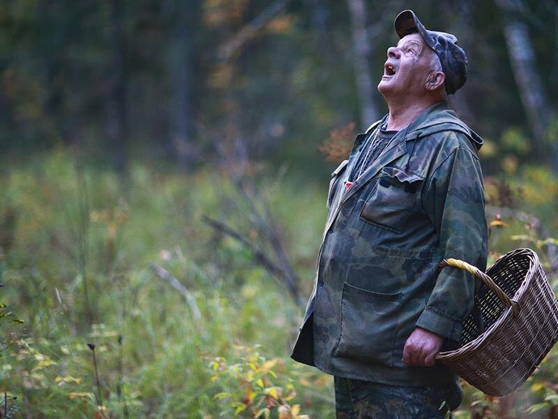 В Твери поисковики и спасатели советуют грибникам одеваться ярко