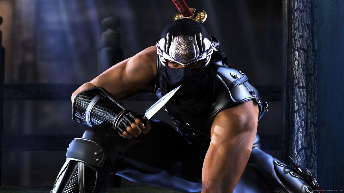 Ninja Gaiden