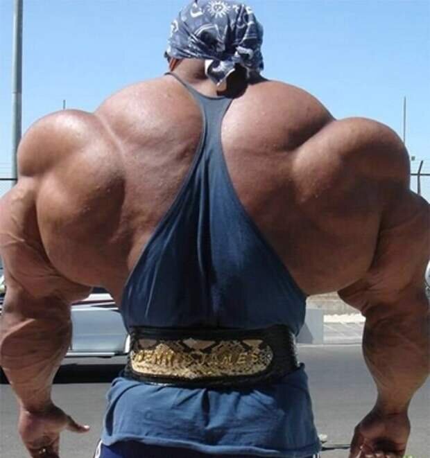 Фото из общедоступных ресурсов.