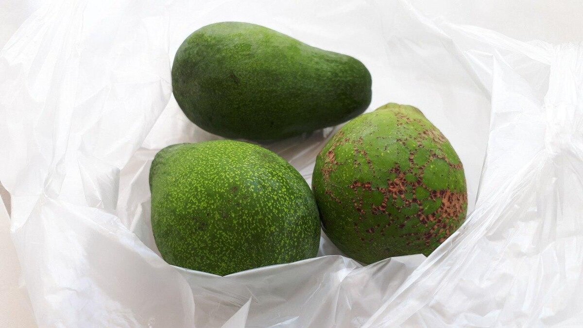 Взял на рынке Авокадо для поддержания своей диеты и снижения веса