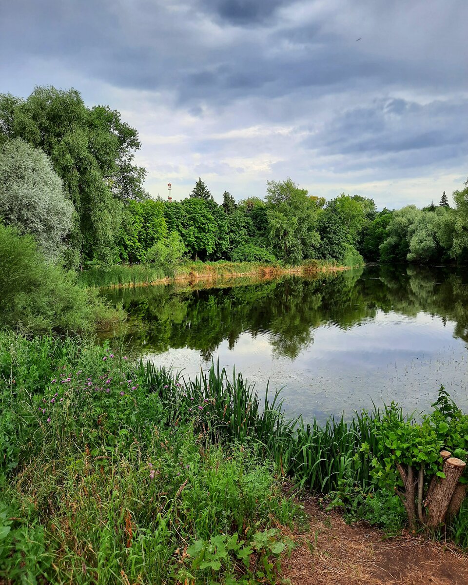 Самара. Ботанический сад