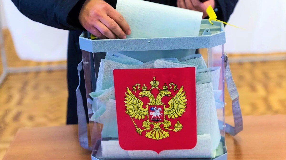 Голосование идет. Фото news.myseldon.com.