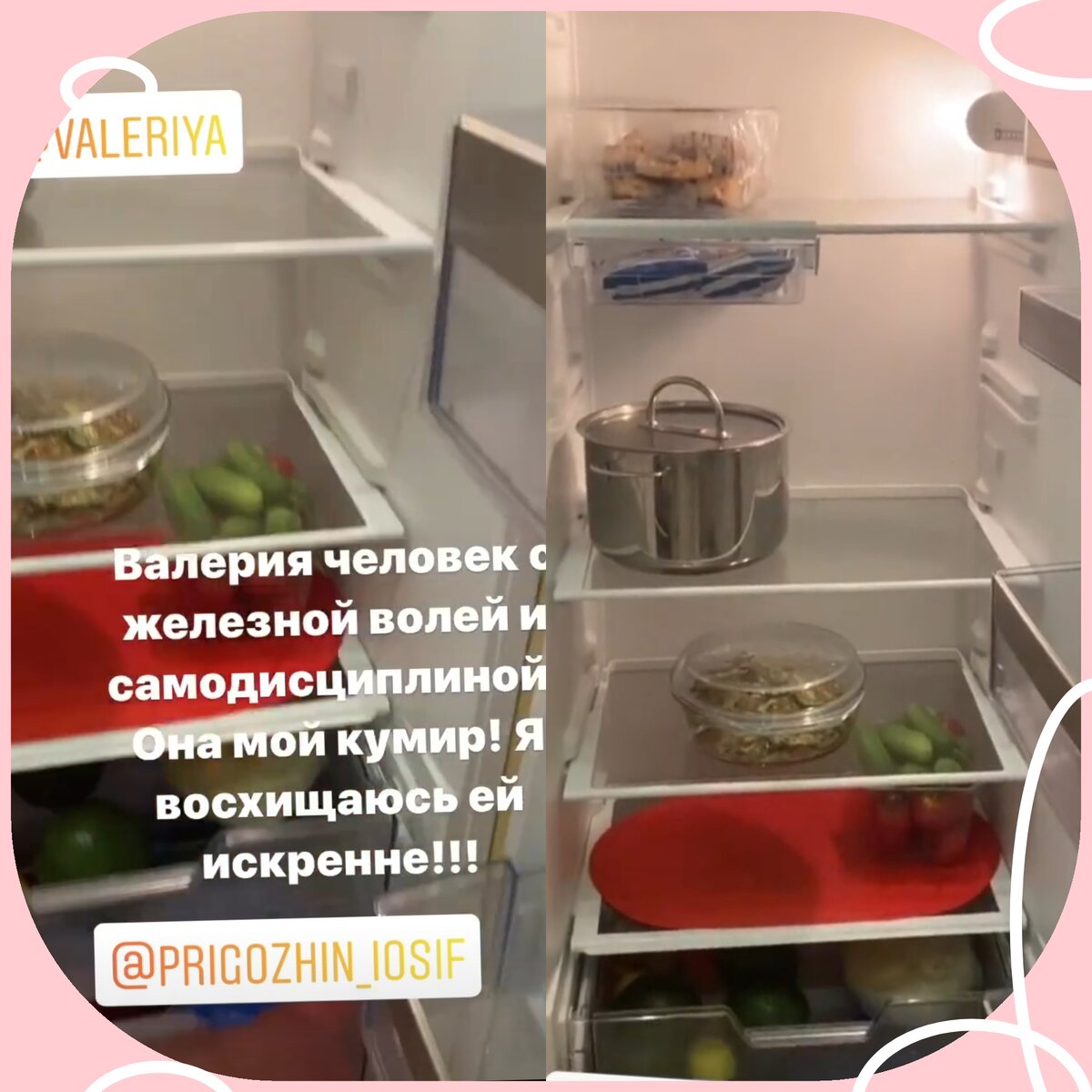 Холодильник певицы