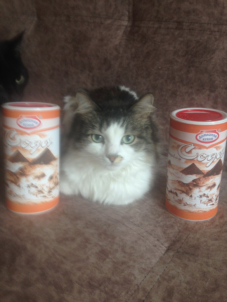 Придется пить!