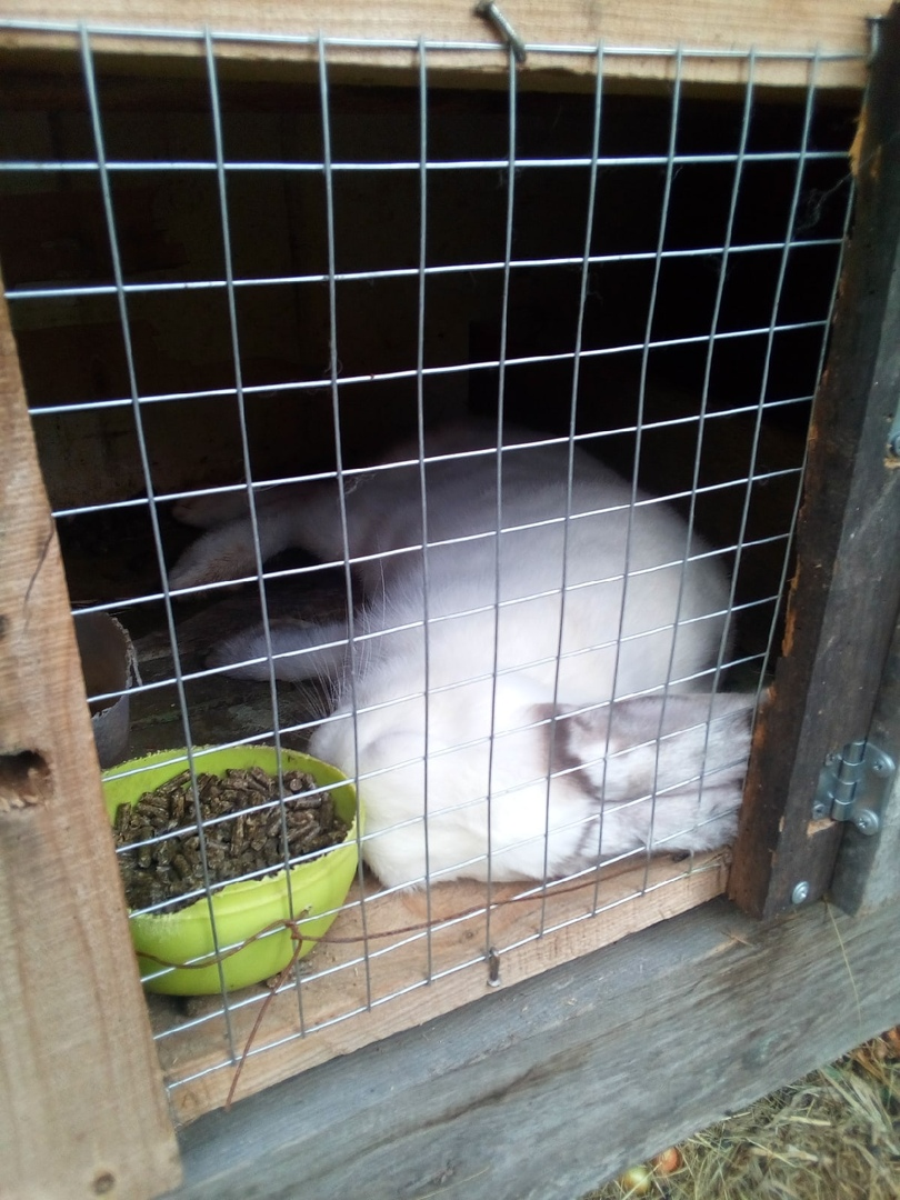 Карамелька.