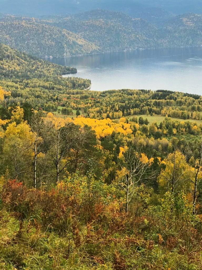 Пожелтевшие горы. Фото М. Лукашева