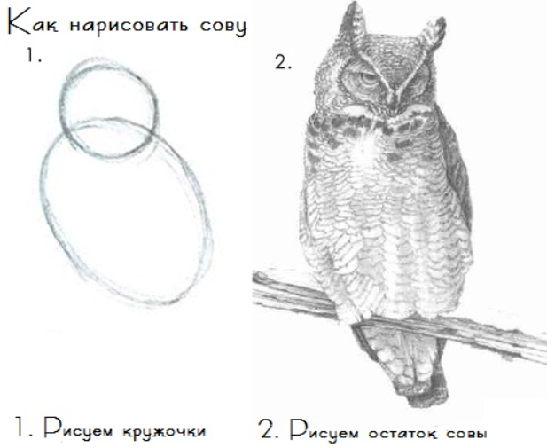 Хорошей аналогией будет инструкция по рисованию совы выше (автор фото - неизвестен, скриншот из интернета) - слева аналог эссе студента, справа- исправленное. Но где же все эти промежуточные шаги? 