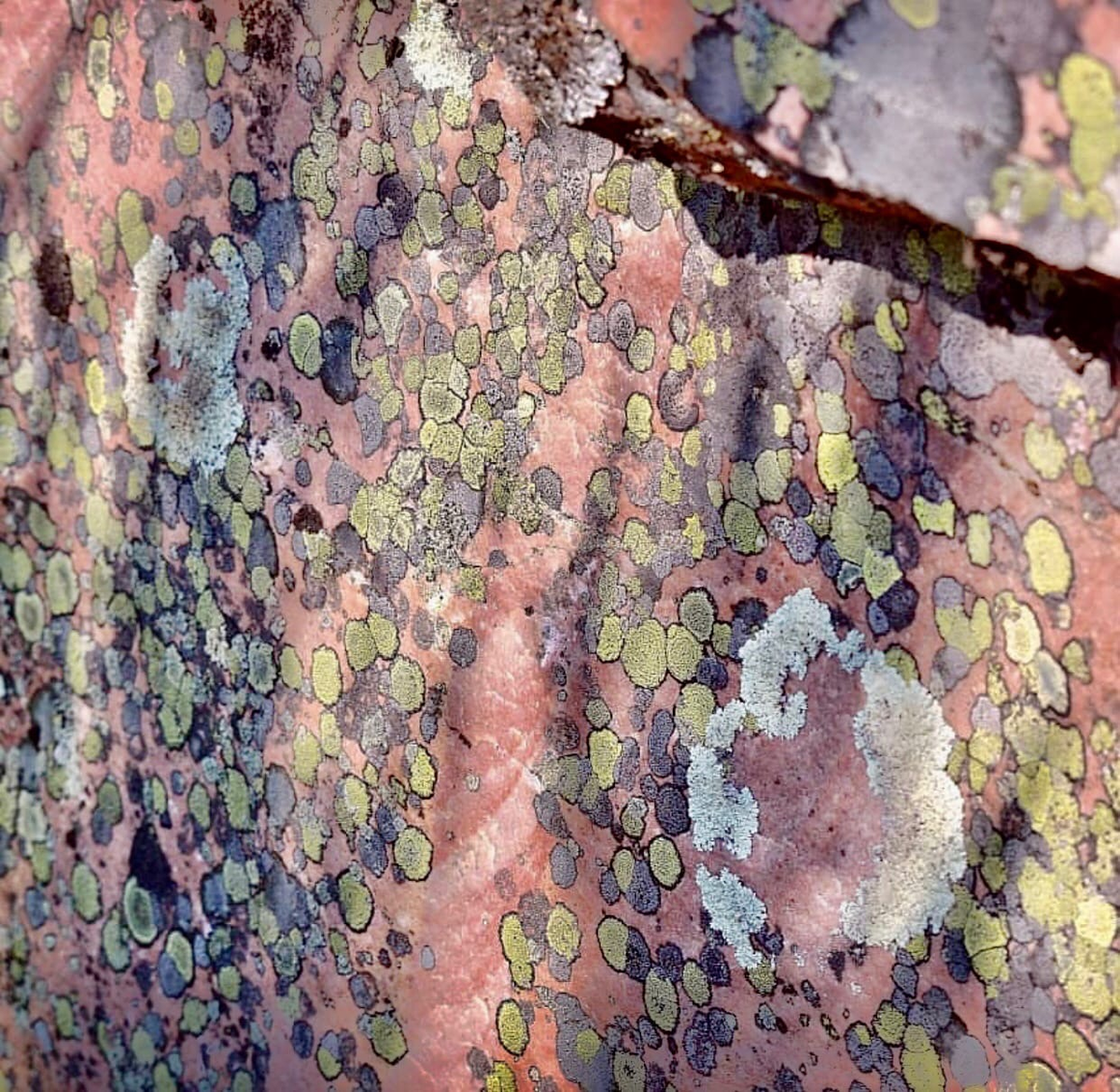 Источник:  @karelia_club_obereg