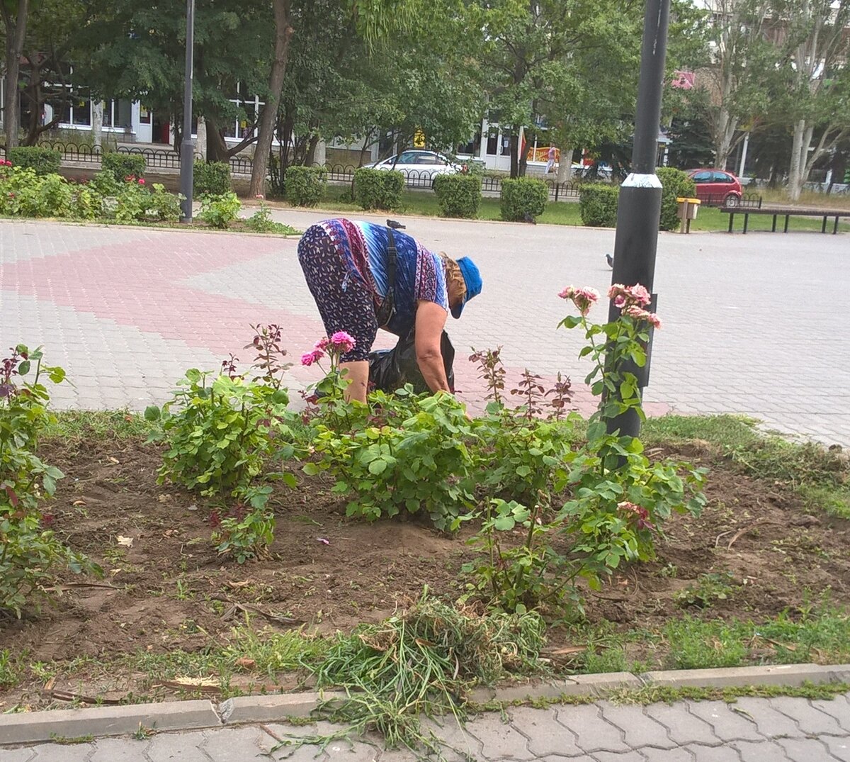 Физический труд - вынужденная мера для пенсионера.