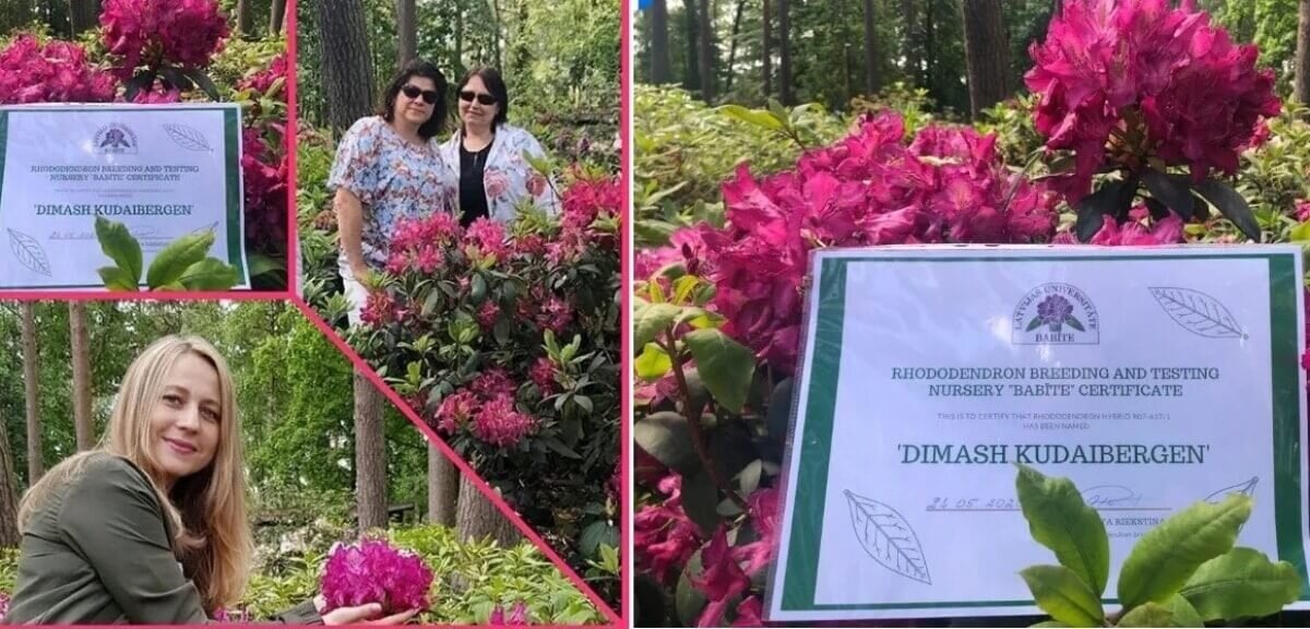 Фото: @dimash_latvia_dears