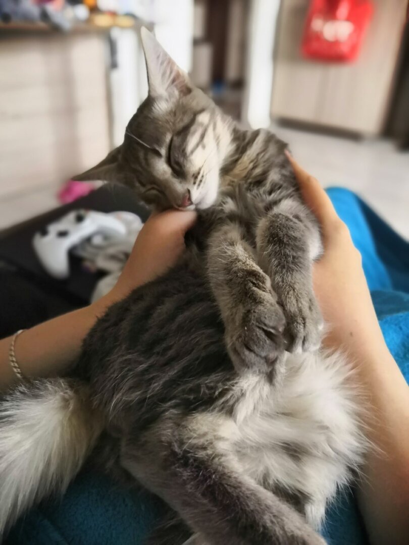 Когда ты счастлив, что попал в надежные и добрые руки.