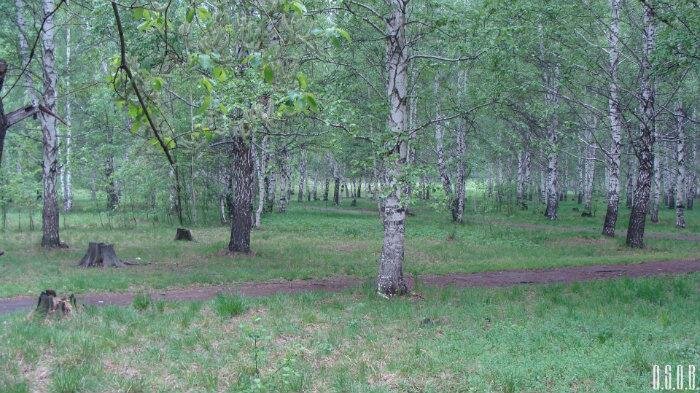 Еще фото Корабелки