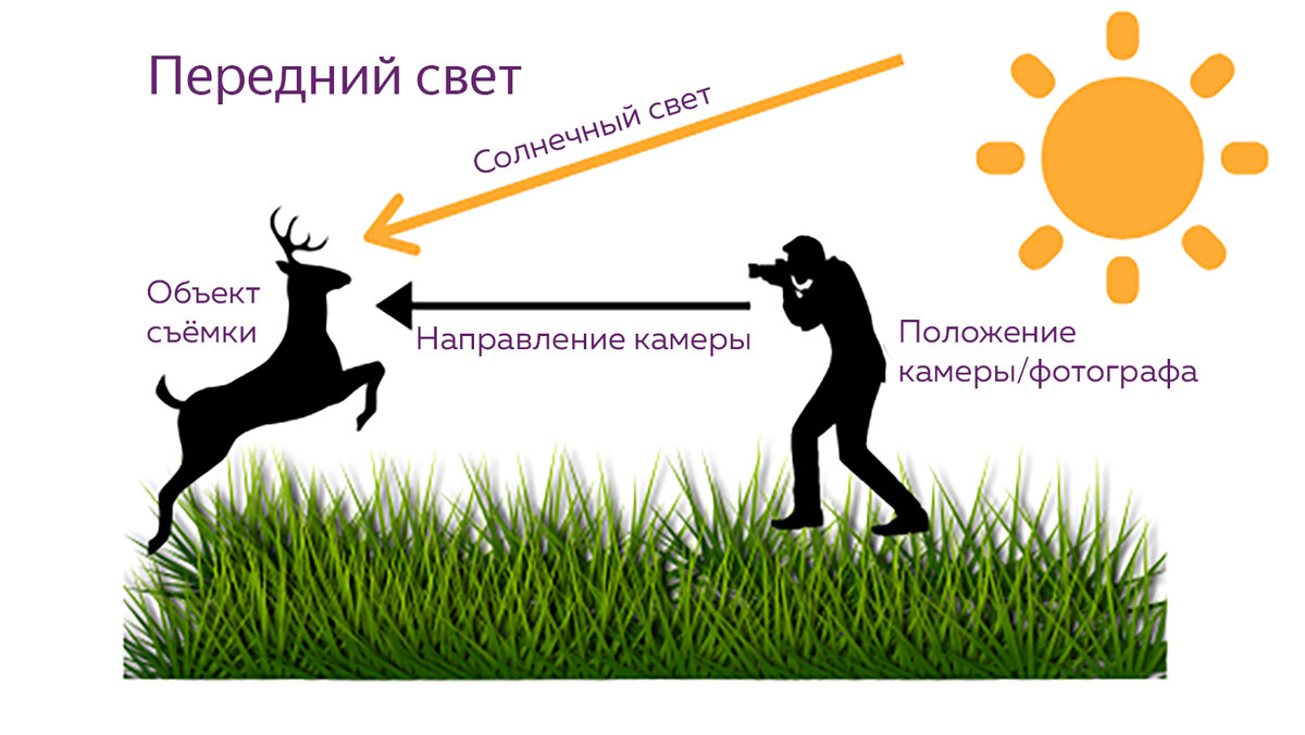 Фотосъёмка с передним светом